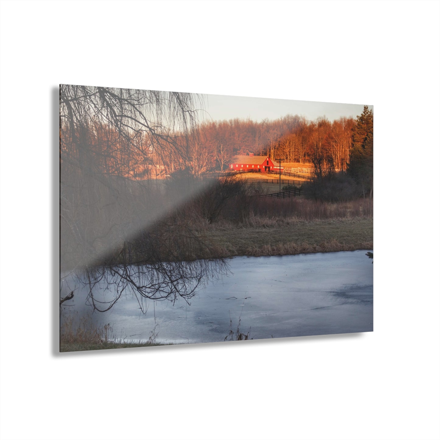 U R There Photography Hidden in Leonard Rustic Farmhouse Acrylic Wall Print