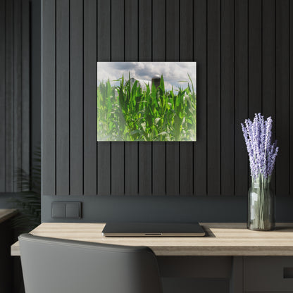 U R There Photography Beyond the Corn in Millington Rustic Farmhouse Acrylic Wall Print