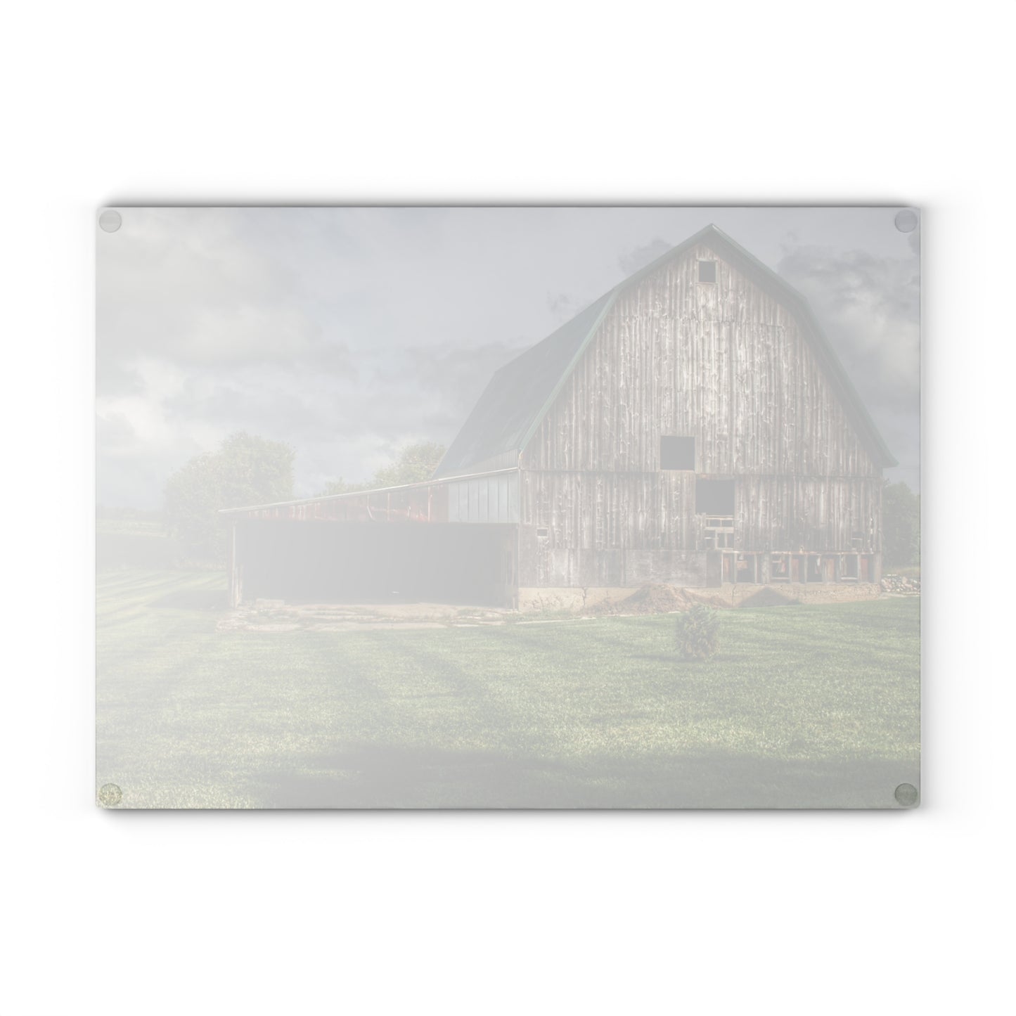 U R There Photography Bishop Grey II Rustic Farmhouse Tempered-Glass Cutting Board 11"x 15"