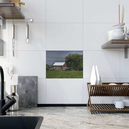 U R There Photography Castle Road Cow Barn III Rustic Farmhouse Decorative Ceramic Tile