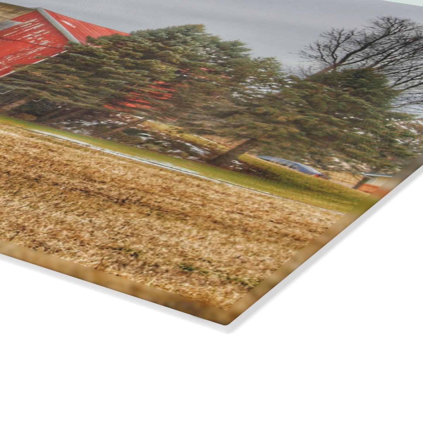 U R There Photography Laur Road Red Among the Pines I Rustic Farmhouse Tempered-Glass Cutting Board