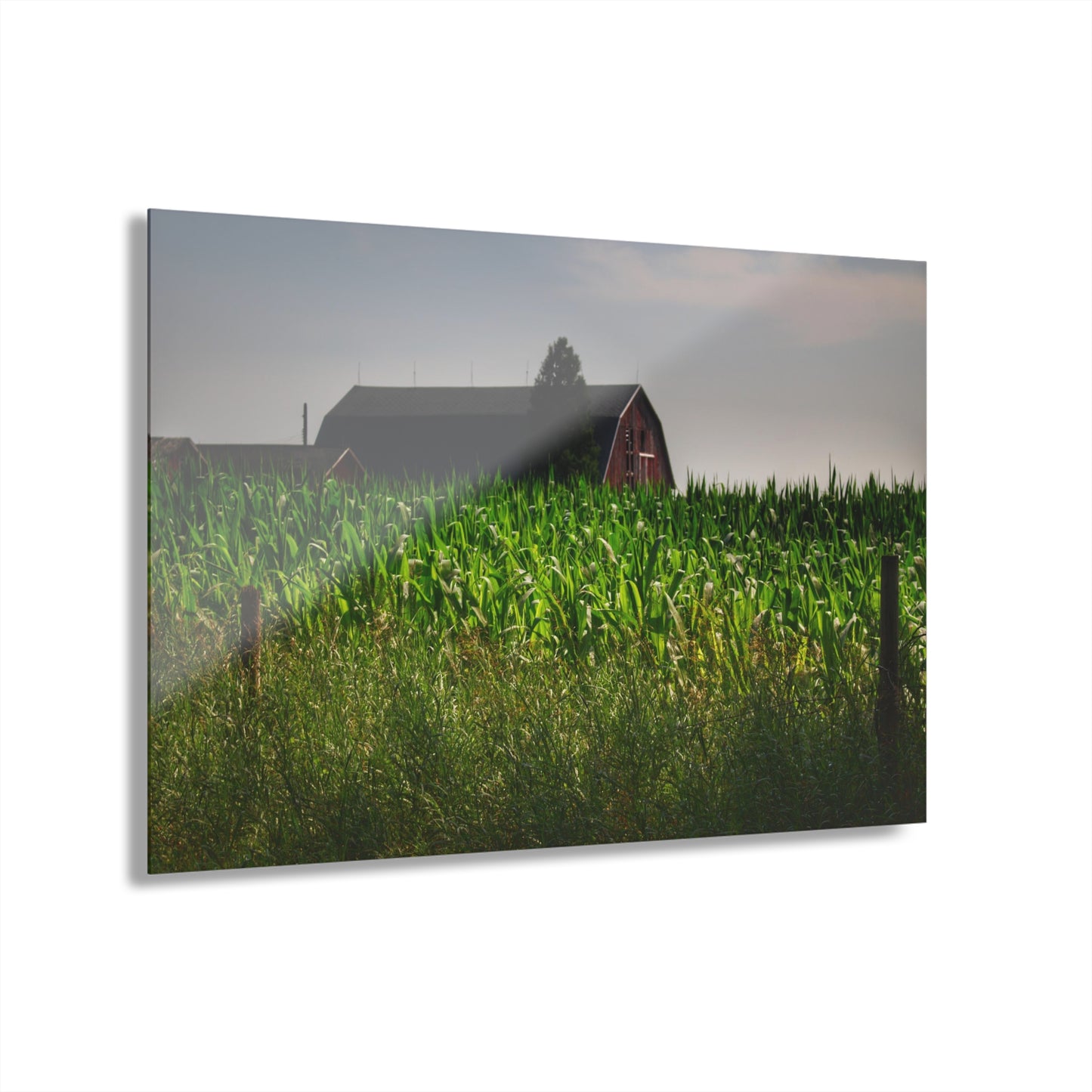 U R There Photography Beyond the Corn in Metamora Rustic Farmhouse Acrylic Wall Print