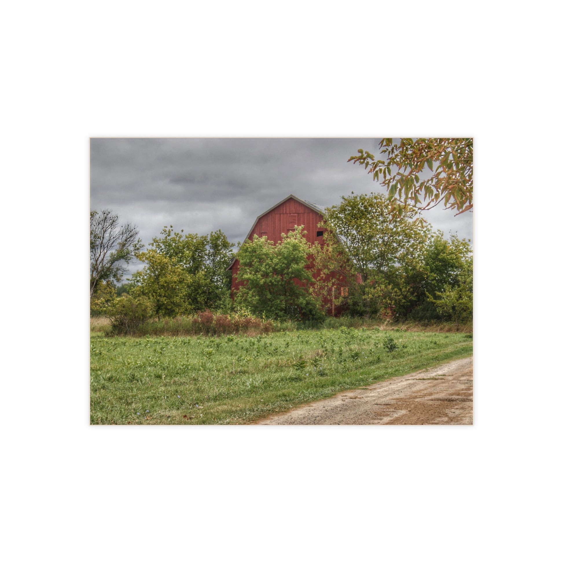 U R There Photography Bristol Road Hidden Red Rustic Farmhouse Decorative Ceramic Tile 6" × 8" Glossy