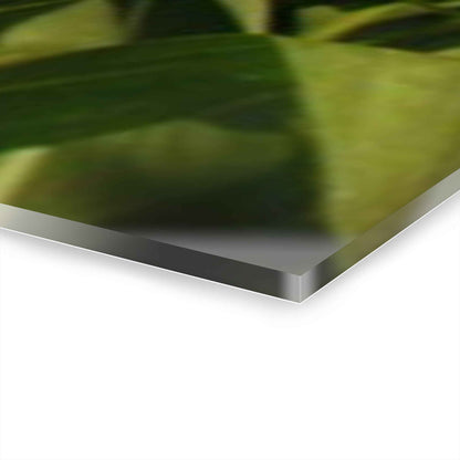 U R There Photography Lay of the Land Rustic Farmhouse 3-Panel Acrylic Wall Print