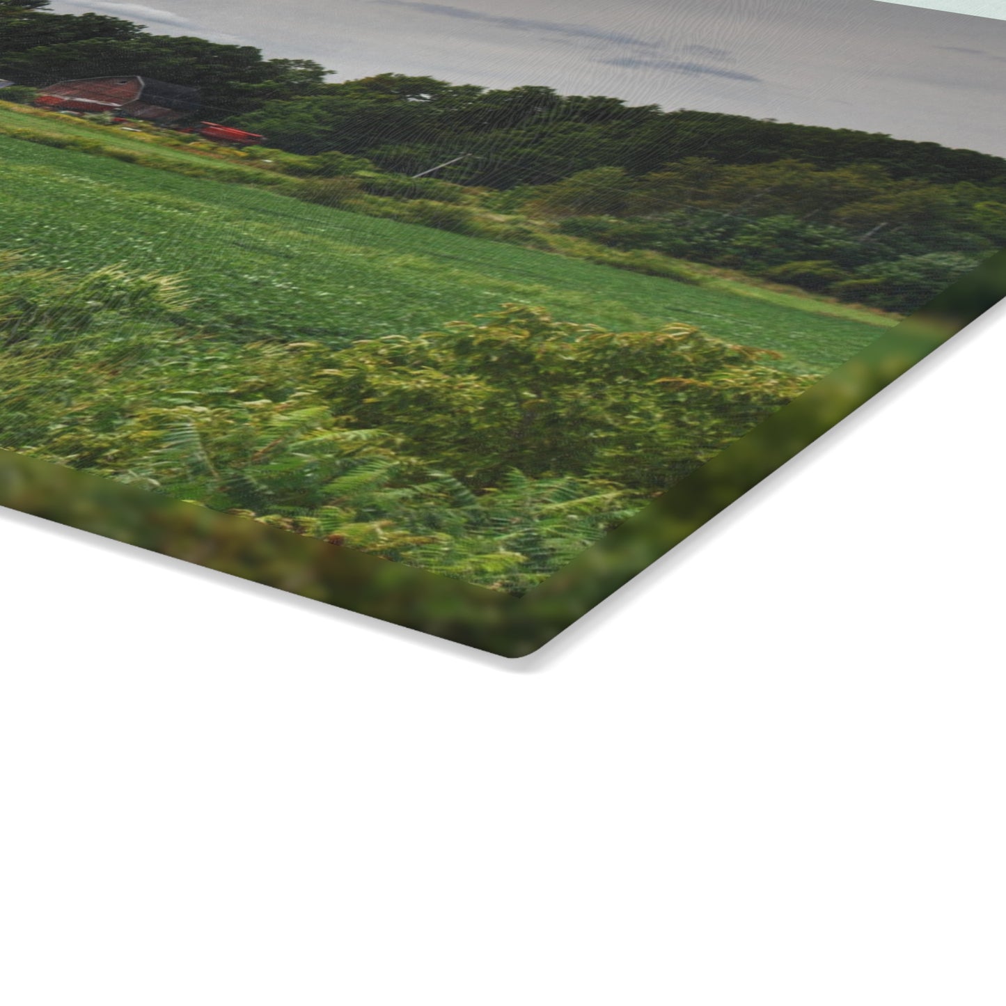 U R There Photography Across the Field in Silverwood Rustic Farmhouse Tempered-Glass Cutting Board