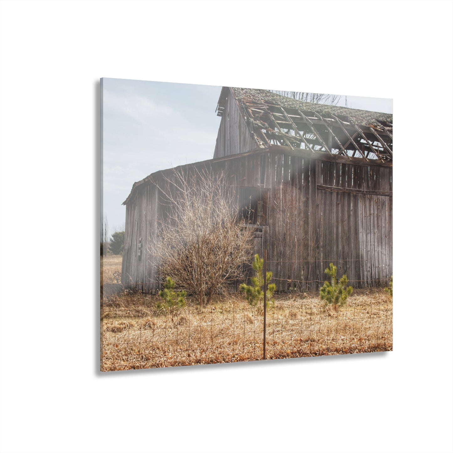 U R There Photography Leix Road Forgotten Grey II Rustic Farmhouse Acrylic Wall Print