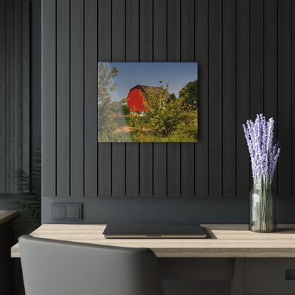 U R There Photography Beyond the Bushes Red Rustic Farmhouse Acrylic Wall Print 14 "x 11"