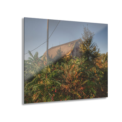 U R There Photography Hidden on Bearanger Road Rustic Farmhouse Acrylic Wall Print