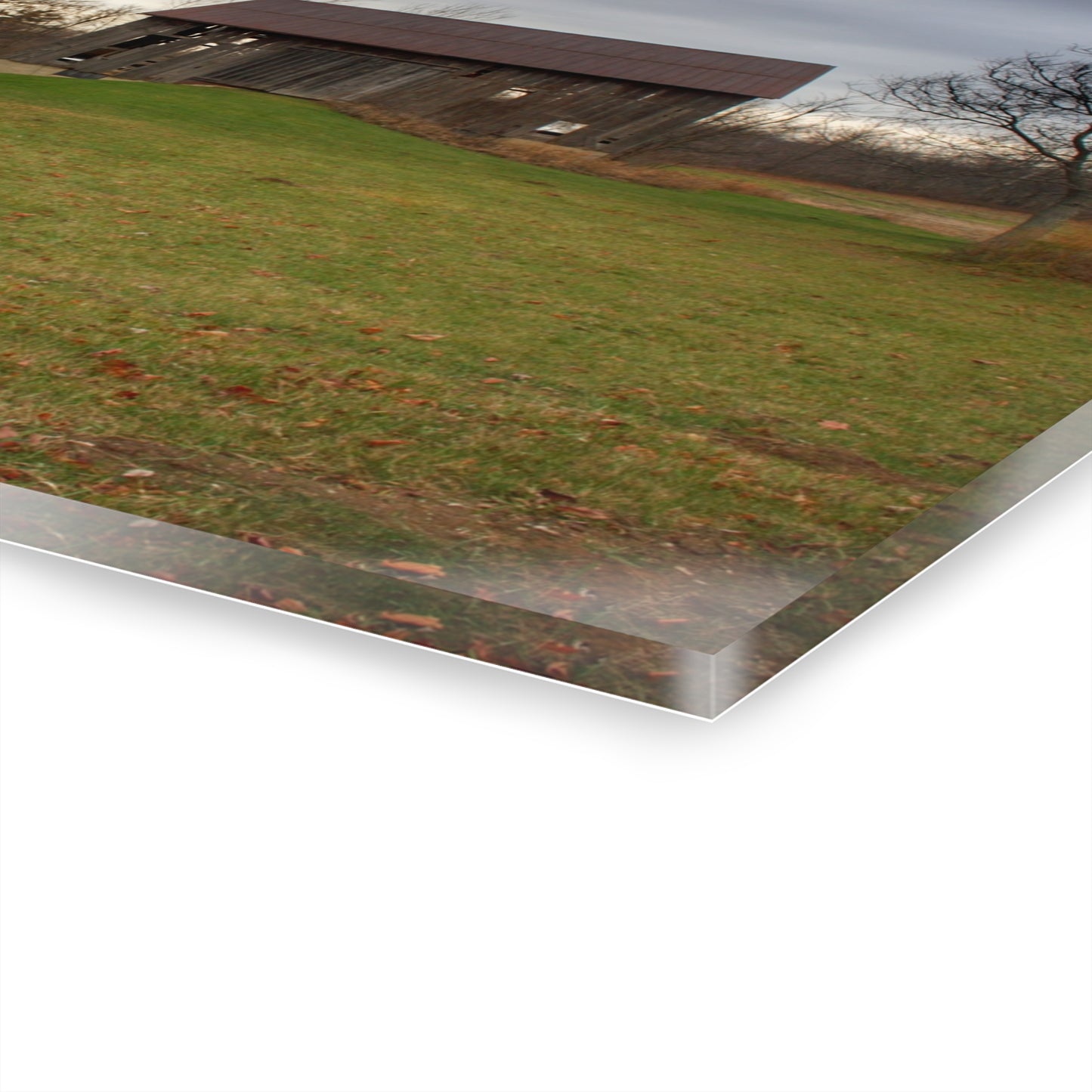 U R There Photography Roadside Greys of Carsonville Rustic Farmhouse Acrylic Wall Print