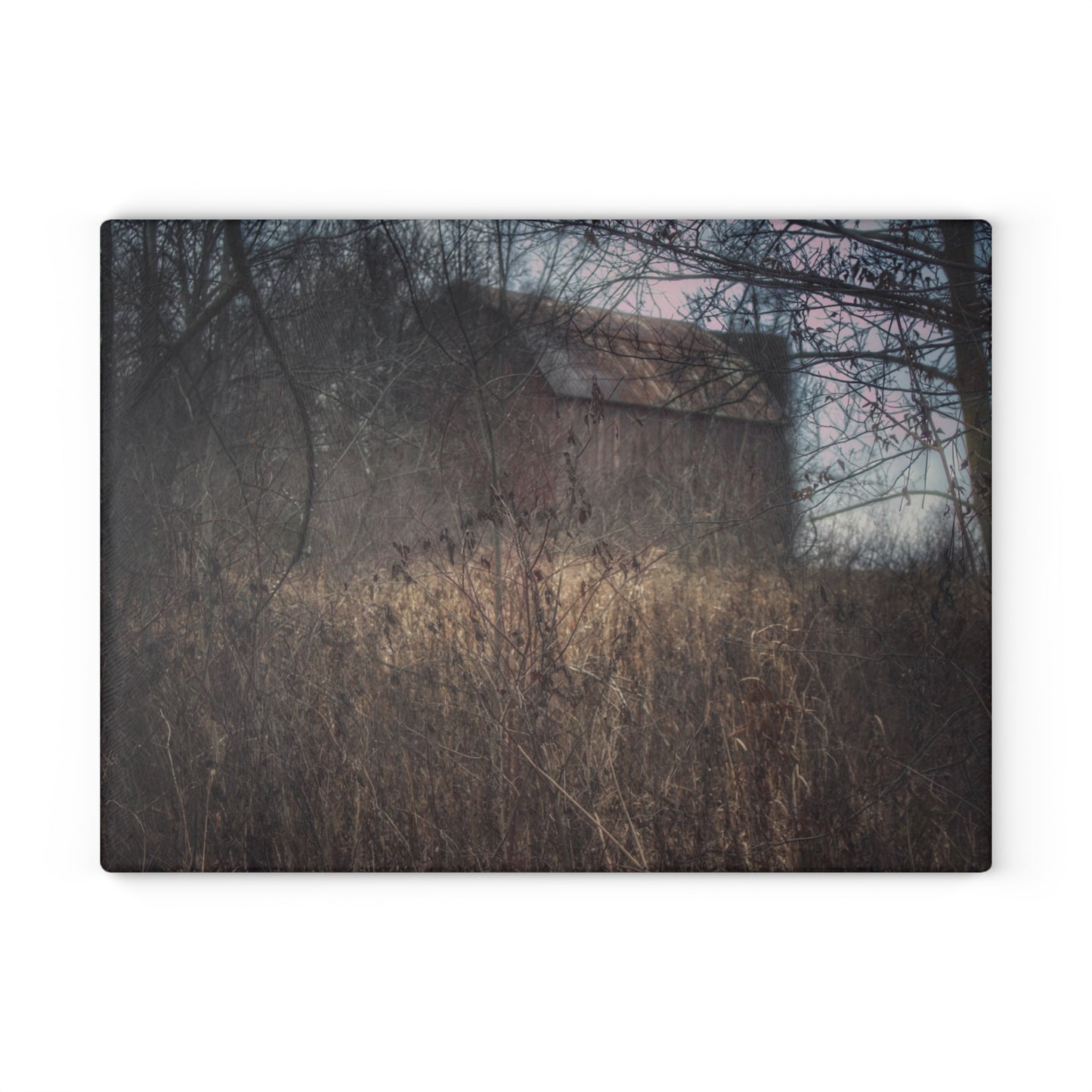 U R There Photography Mayville Hidden Barn I Rustic Farmhouse Tempered-Glass Cutting Board
