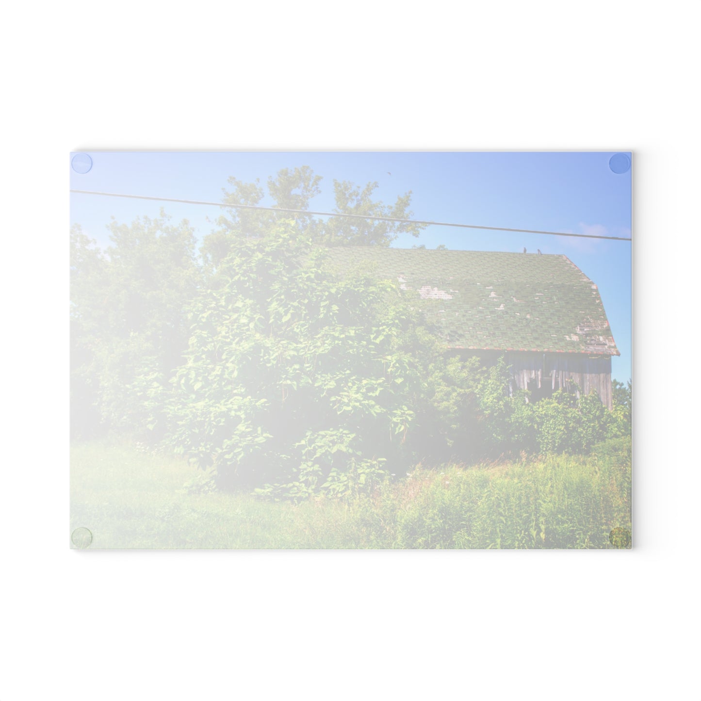 U R There Photography Hidden Grey of Hunters Creek Rustic Farmhouse Tempered-Glass Cutting Board