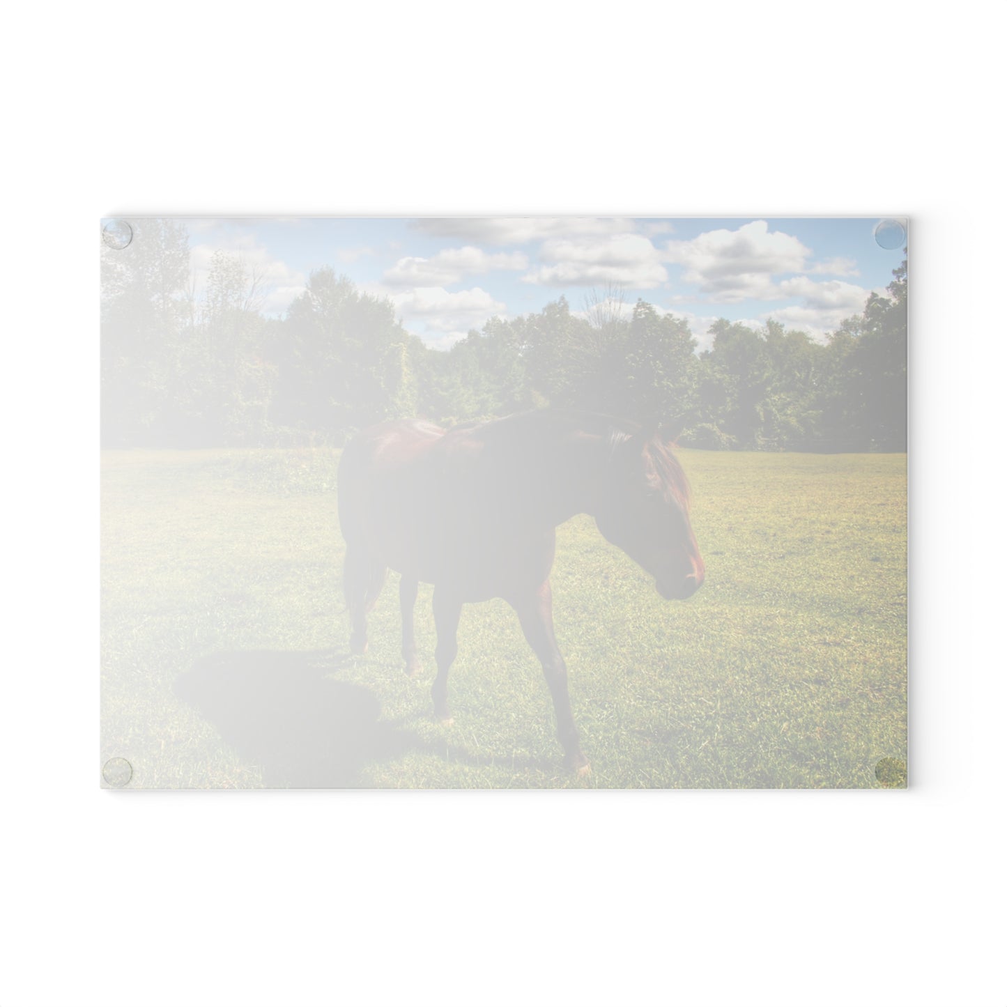 U R There Photography Brown Beauty II Rustic Farmhouse Tempered-Glass Cutting Board