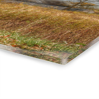 U R There Photography Hill Road Roadside Greys Rustic Farmhouse Acrylic Wall Print