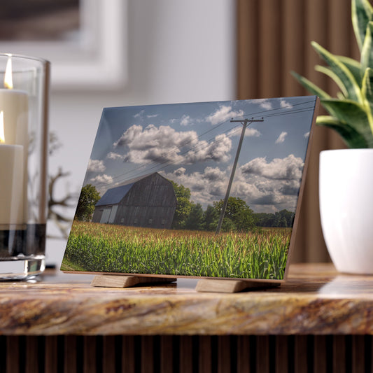 U R There Photography Grey Barn in a Cornfield Rustic Farmhouse Decorative Ceramic Tile