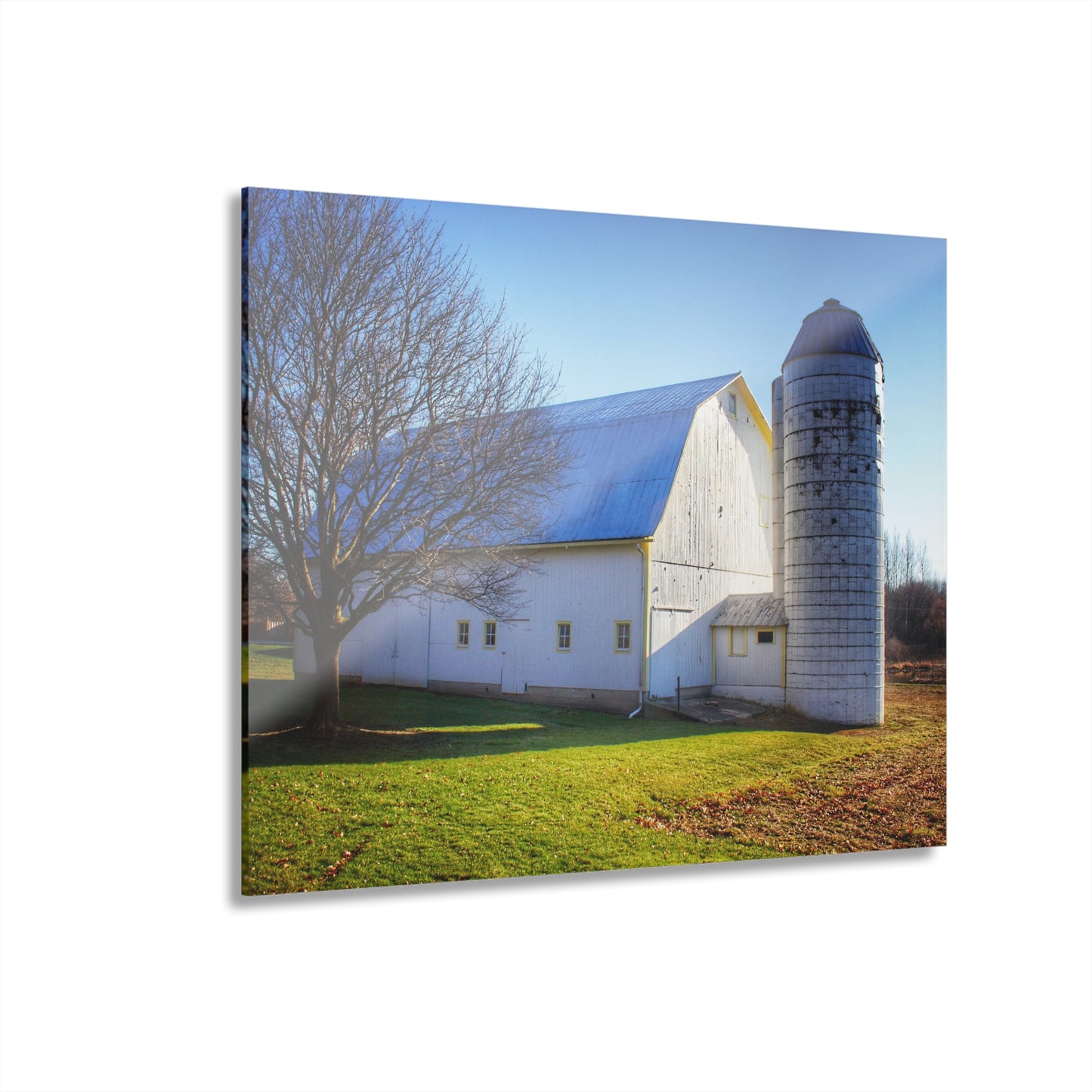 U R There Photography Elba White Rustic Farmhouse Acrylic Wall Print