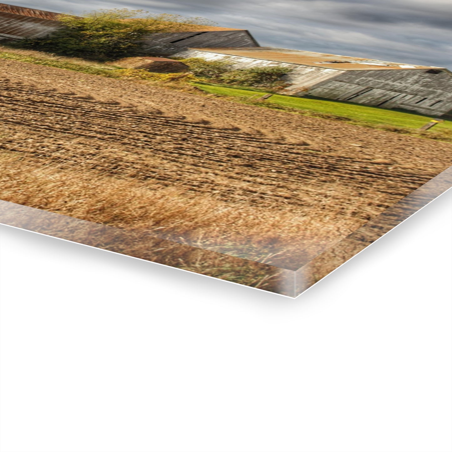 U R There Photography Newark Road Whites Rustic Farmhouse Acrylic Wall Print