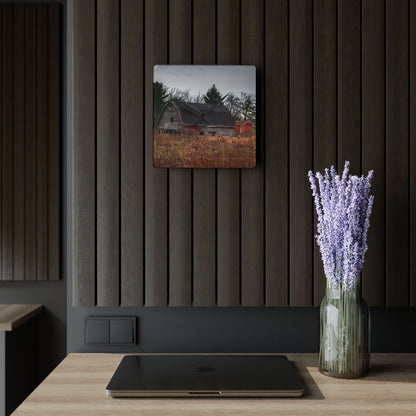U R There Photography Field Grey and Little Red Rustic Farmhouse Acrylic Analog Wall Clock