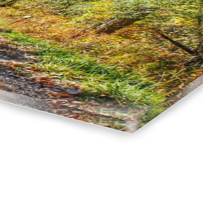 U R There Photography Harson Road in Fall II Rustic Farmhouse Acrylic Wall Print