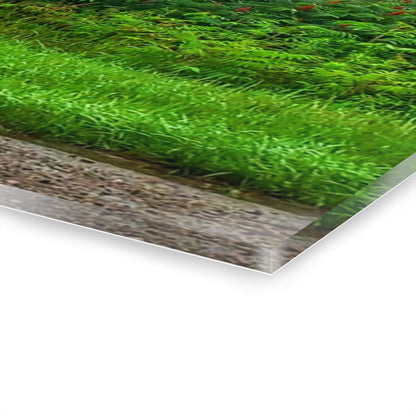 U R There Photography Metamora M-24 Grey IV Rustic Farmhouse Acrylic Wall Print