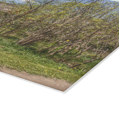 U R There Photography Bishop Road Grey I Rustic Farmhouse Tempered-Glass Cutting Board