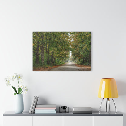 U R There Photography Country Roads in Millington Rustic Farmhouse Acrylic Wall Print