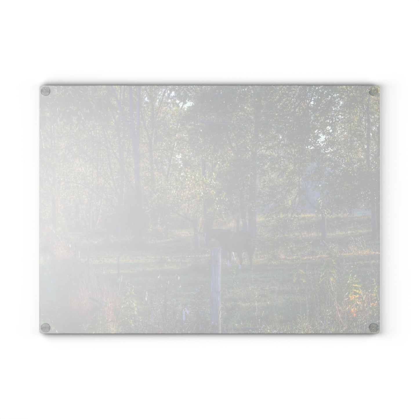U R There Photography Chestnut Horse Among the Trees Rustic Farmhouse Tempered-Glass Cutting Board