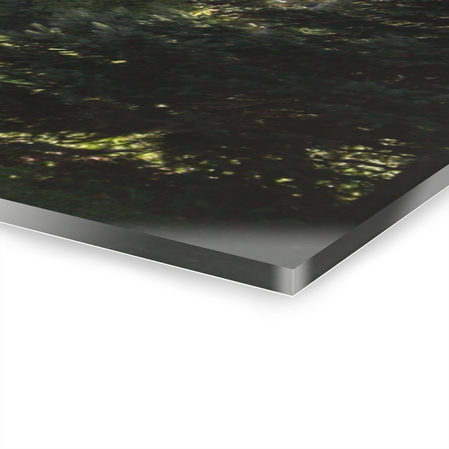 U R There Photography Five Lakes Road White Rustic Farmhouse Acrylic Wall Print