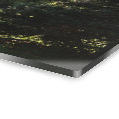 U R There Photography Five Lakes Road White Rustic Farmhouse Acrylic Wall Print