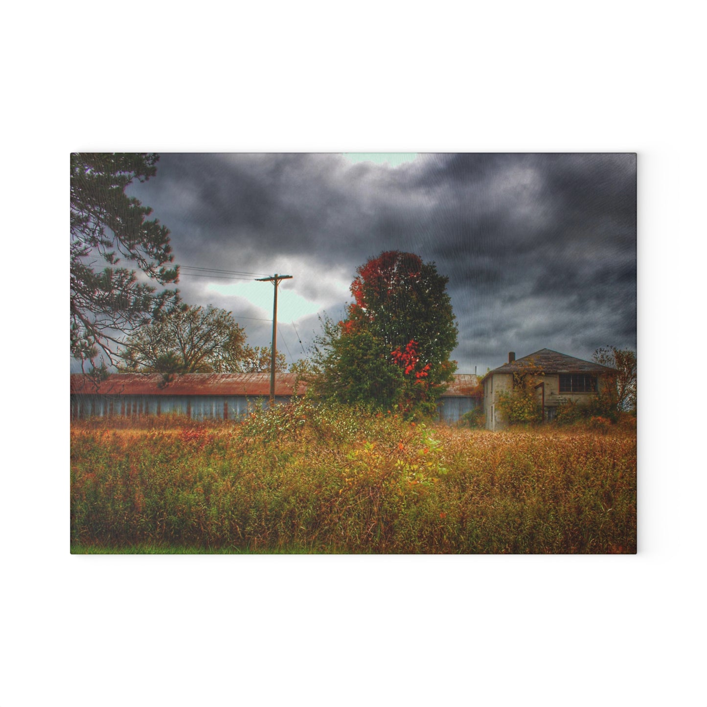 U R There Photography Farnsworth Forgotten Rustic Farmhouse Tempered-Glass Cutting Board