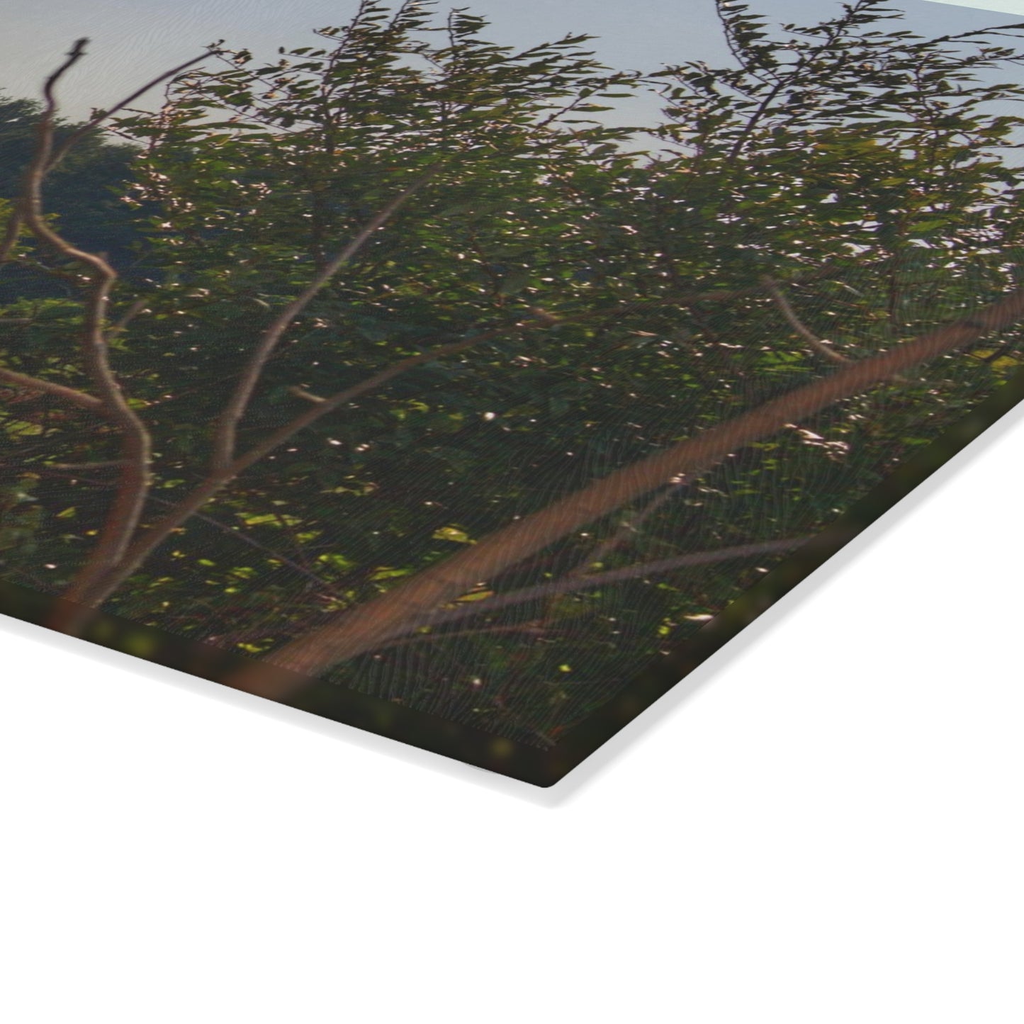 U R There Photography Clifford Hidden Grey Rustic Farmhouse Tempered-Glass Cutting Board