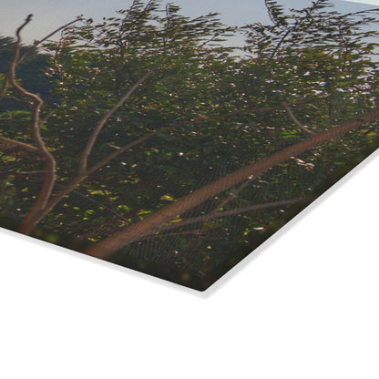 U R There Photography Clifford Hidden Grey Rustic Farmhouse Tempered-Glass Cutting Board