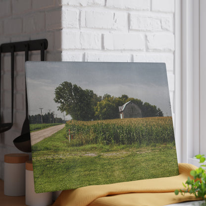 U R There Photography Quanicassee Road Grey Rustic Farmhouse Tempered-Glass Cutting Board