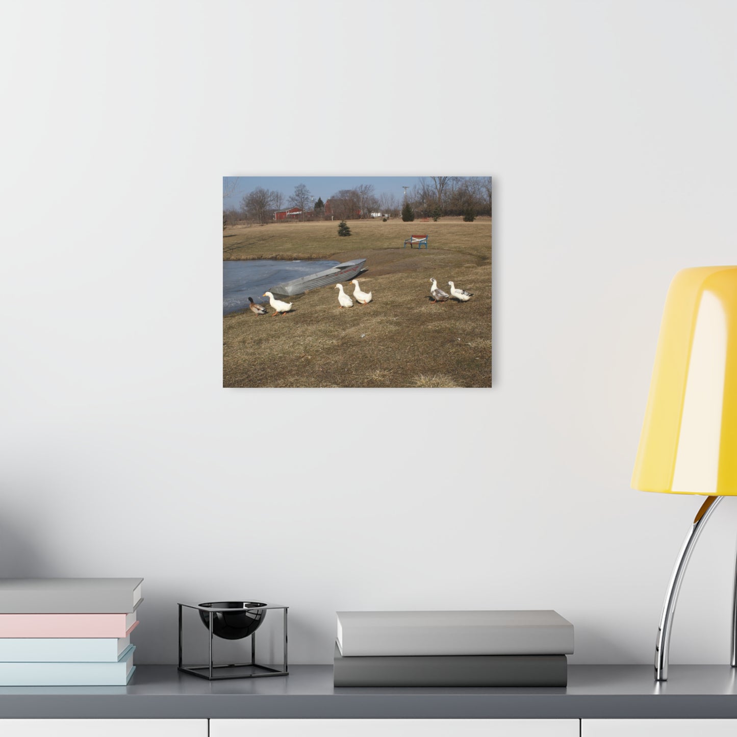 Barn Boutique Modern Farmhouse Acrylic Wall Print| Ducks of Wheeling Road II