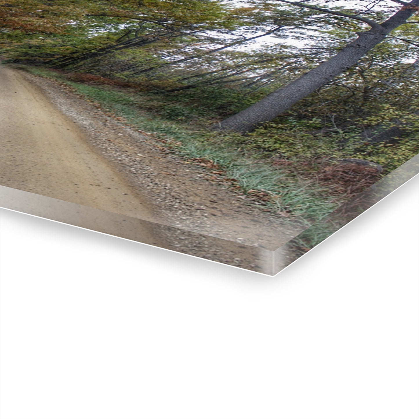 U R There Photography Country Roads in Dryden II Rustic Farmhouse Acrylic Wall Print