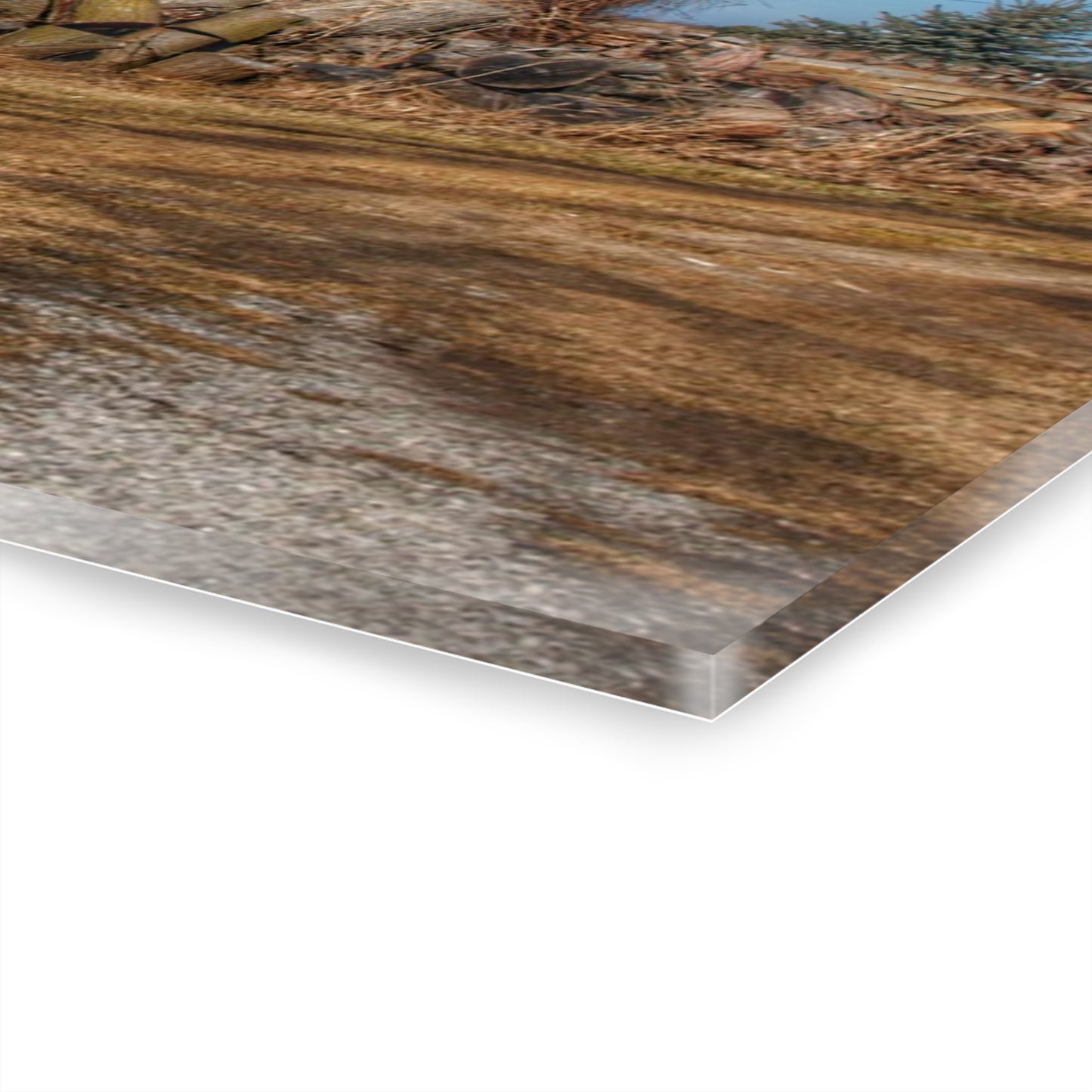 U R There Photography Dutcher Road Grey Rustic Farmhouse Acrylic Wall Print