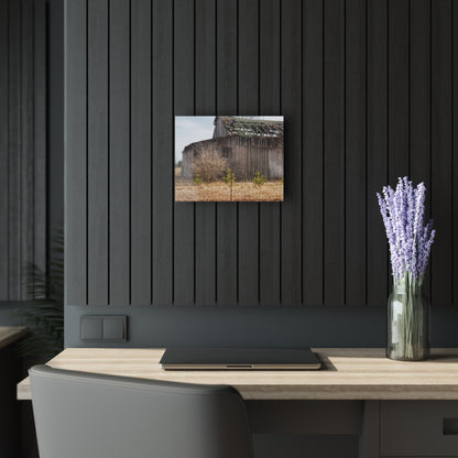 U R There Photography Leix Road Forgotten Grey II Rustic Farmhouse Acrylic Wall Print