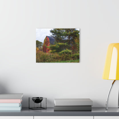 U R There Photography Green Corners Road Hidden Red Rustic Farmhouse Acrylic Wall Print