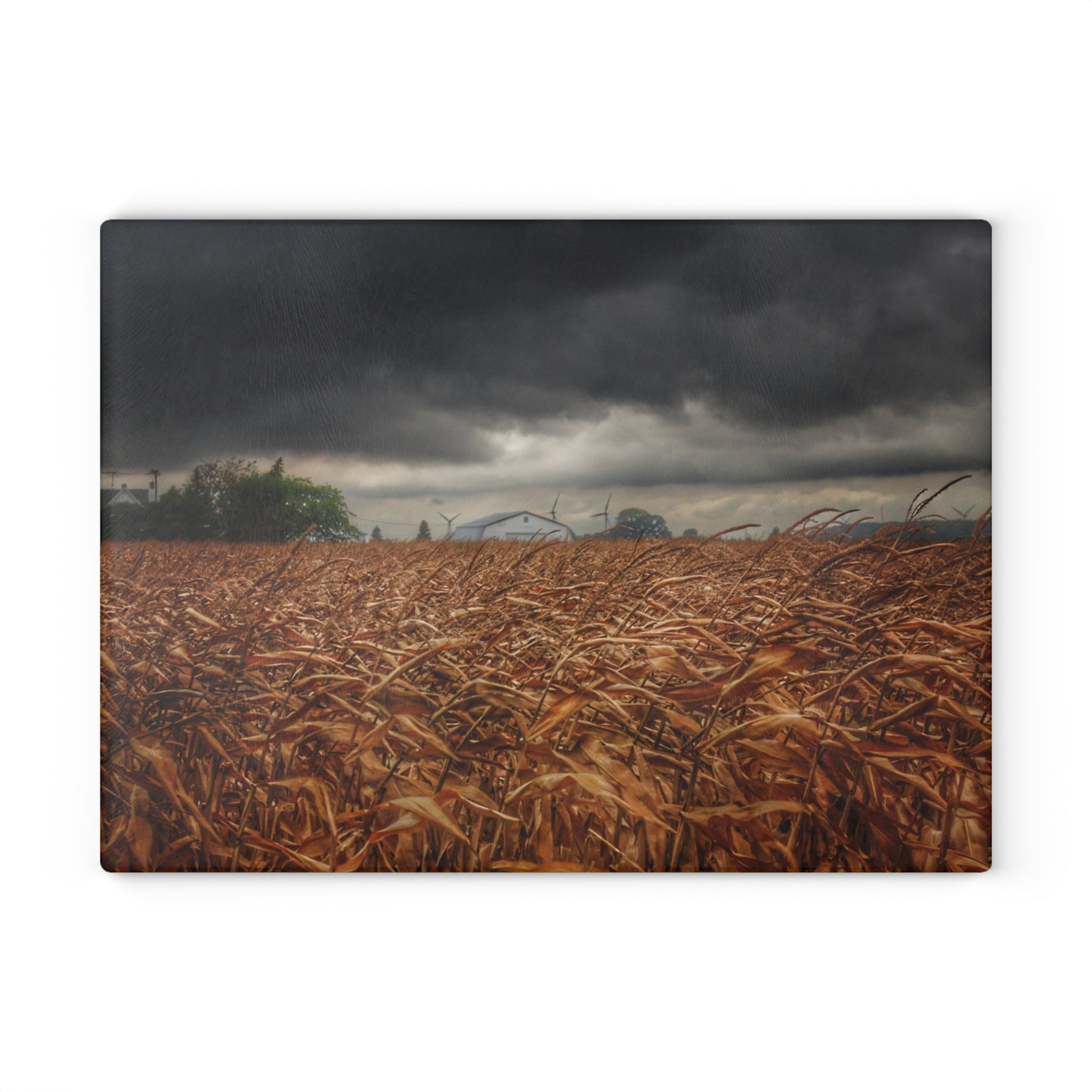 U R There Photography Garner Road Hidden White Rustic Farmhouse Tempered-Glass Cutting Board