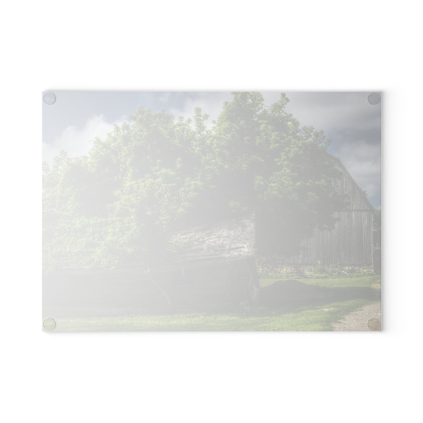 U R There Photography Brown City Road Barn and Buddy I Rustic Farmhouse Tempered-Glass Cutting Board