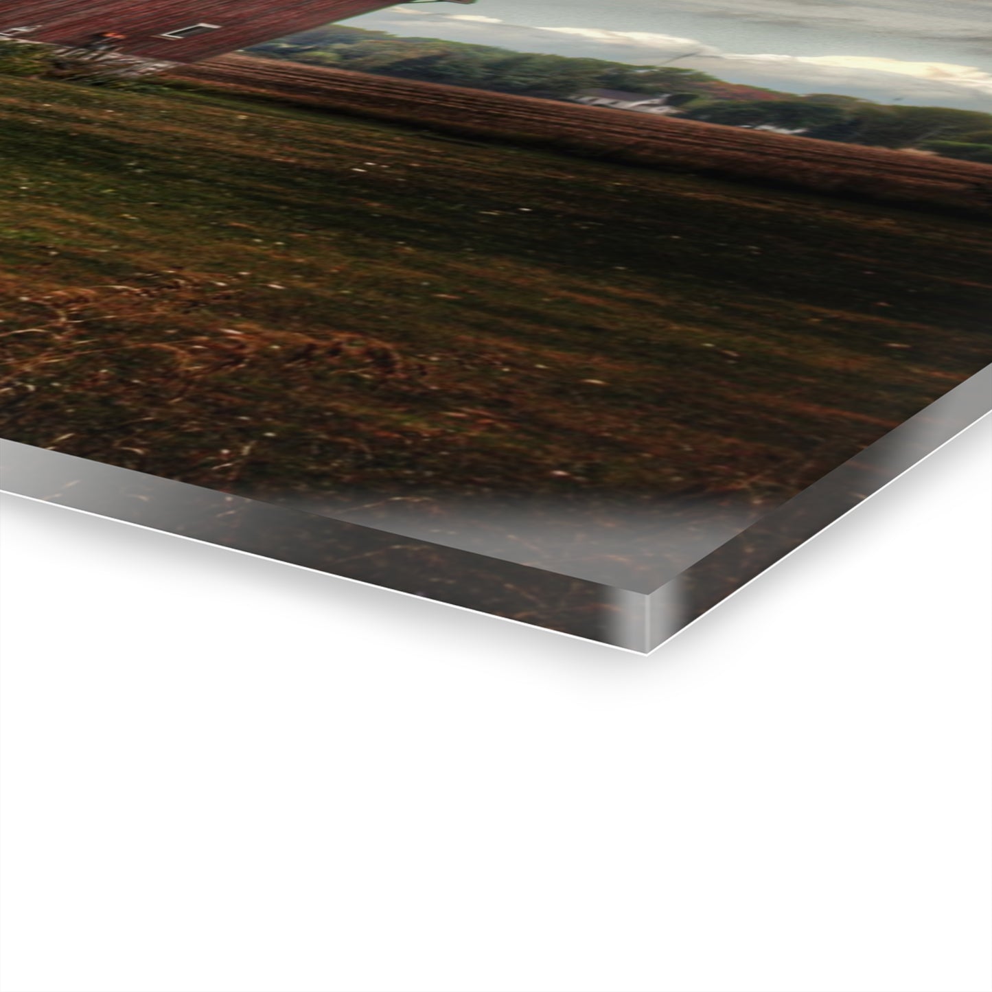 U R There Photography Fairgrove-Deckerville Red Rustic Farmhouse Acrylic Wall Print