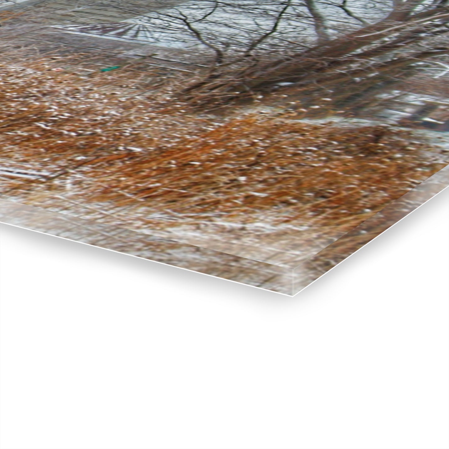 U R There Photography Wale Road Hidden Grey Rustic Farmhouse Acrylic Wall Print