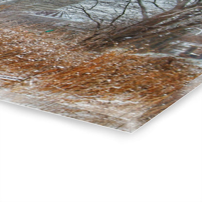 U R There Photography Wale Road Hidden Grey Rustic Farmhouse Acrylic Wall Print