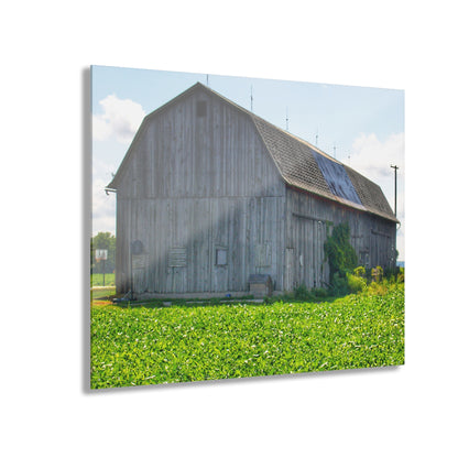U R There Photography Morning Roadside Grey Rustic Farmhouse Acrylic Wall Print