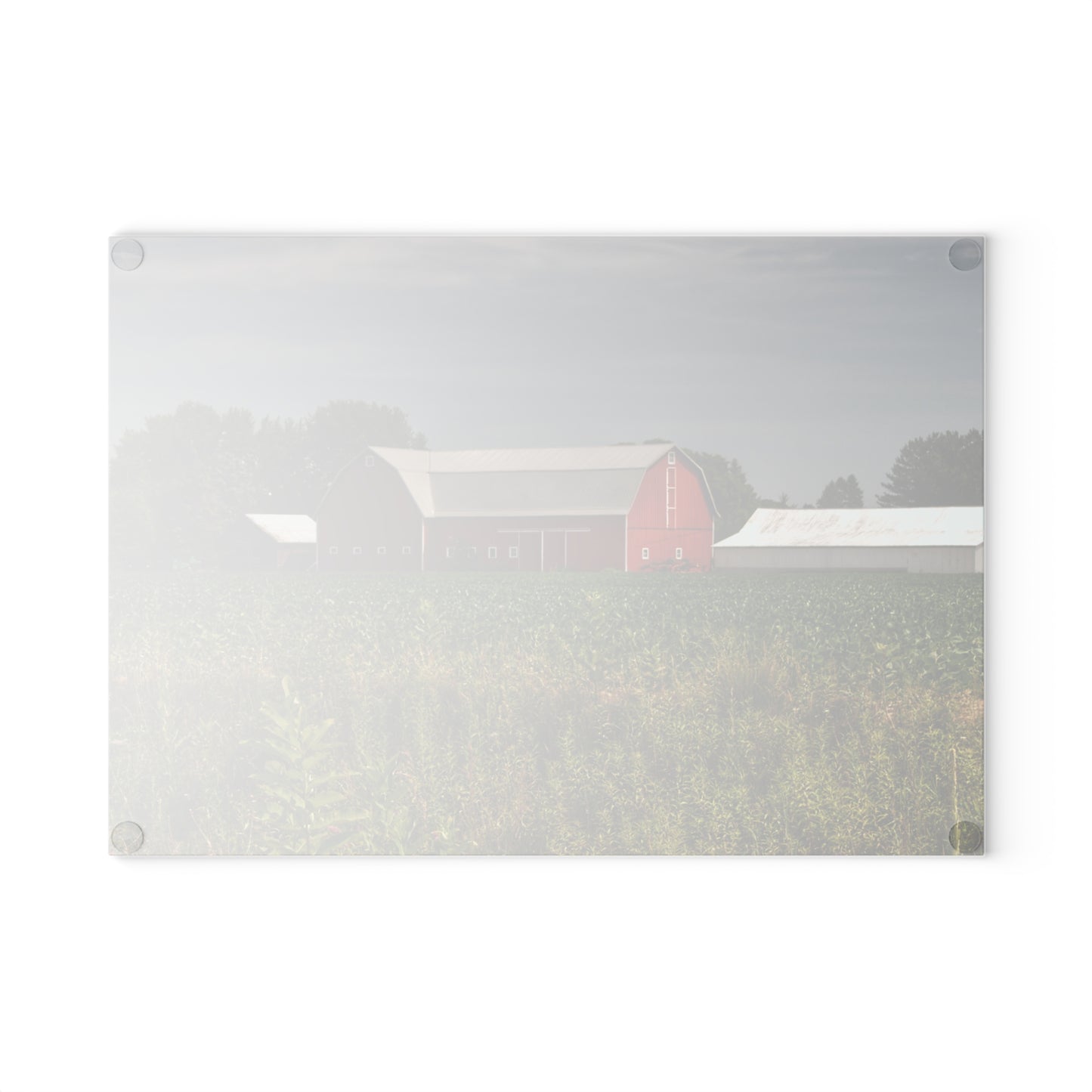 U R There Photography Townline Road Red Rustic Farmhouse Tempered-Glass Cutting Board