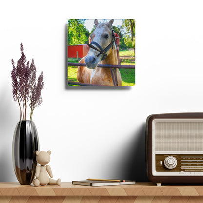 U R There Photography White Cream Mare of Hollenbeck Rustic Farmhouse Acrylic Analog Wall Clock