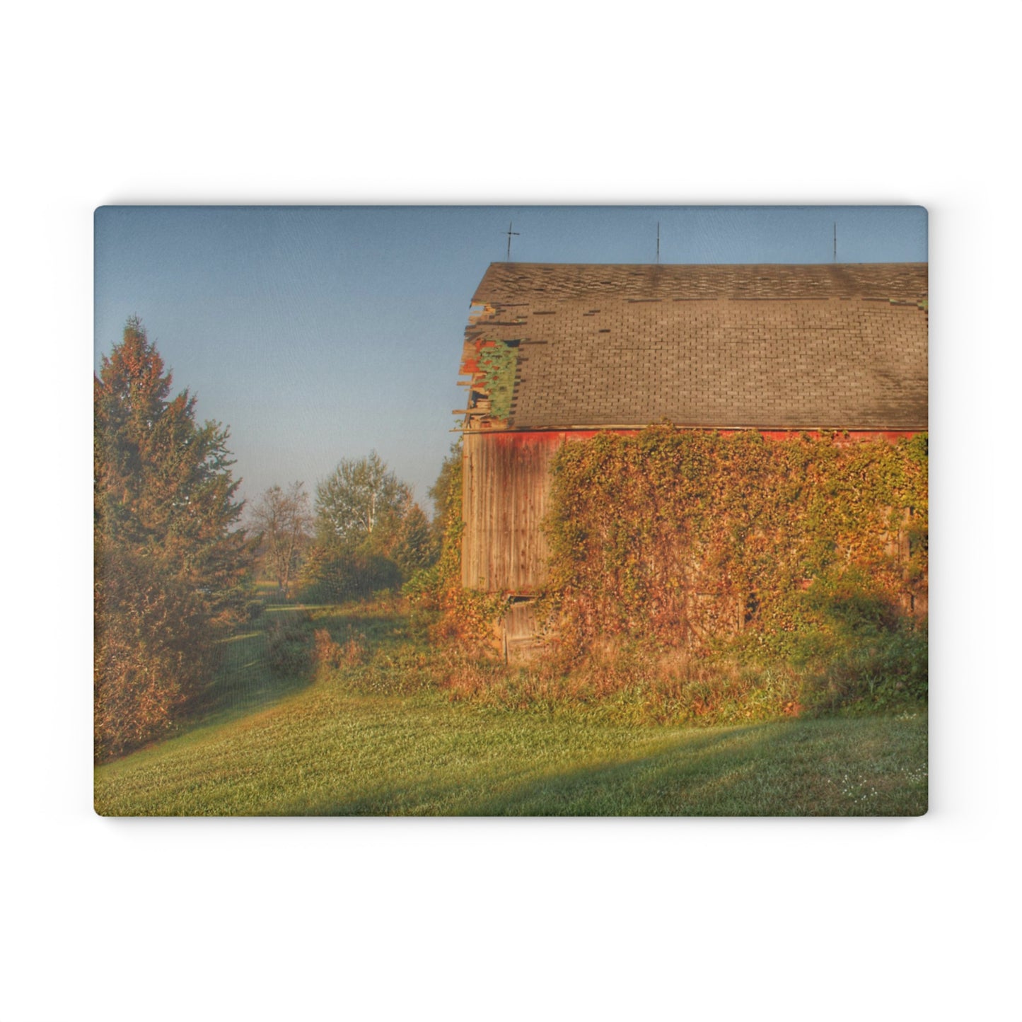 U R There Photography Bearanger Road Red Rustic Farmhouse Tempered-Glass Cutting Board