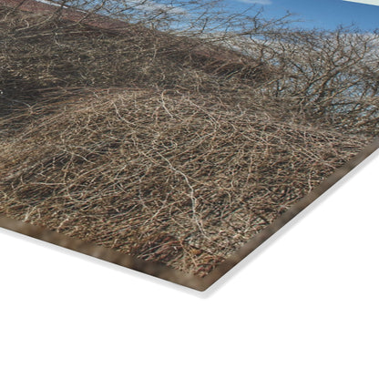 U R There Photography Buried Burnside Greys I Rustic Farmhouse Tempered-Glass Cutting Board