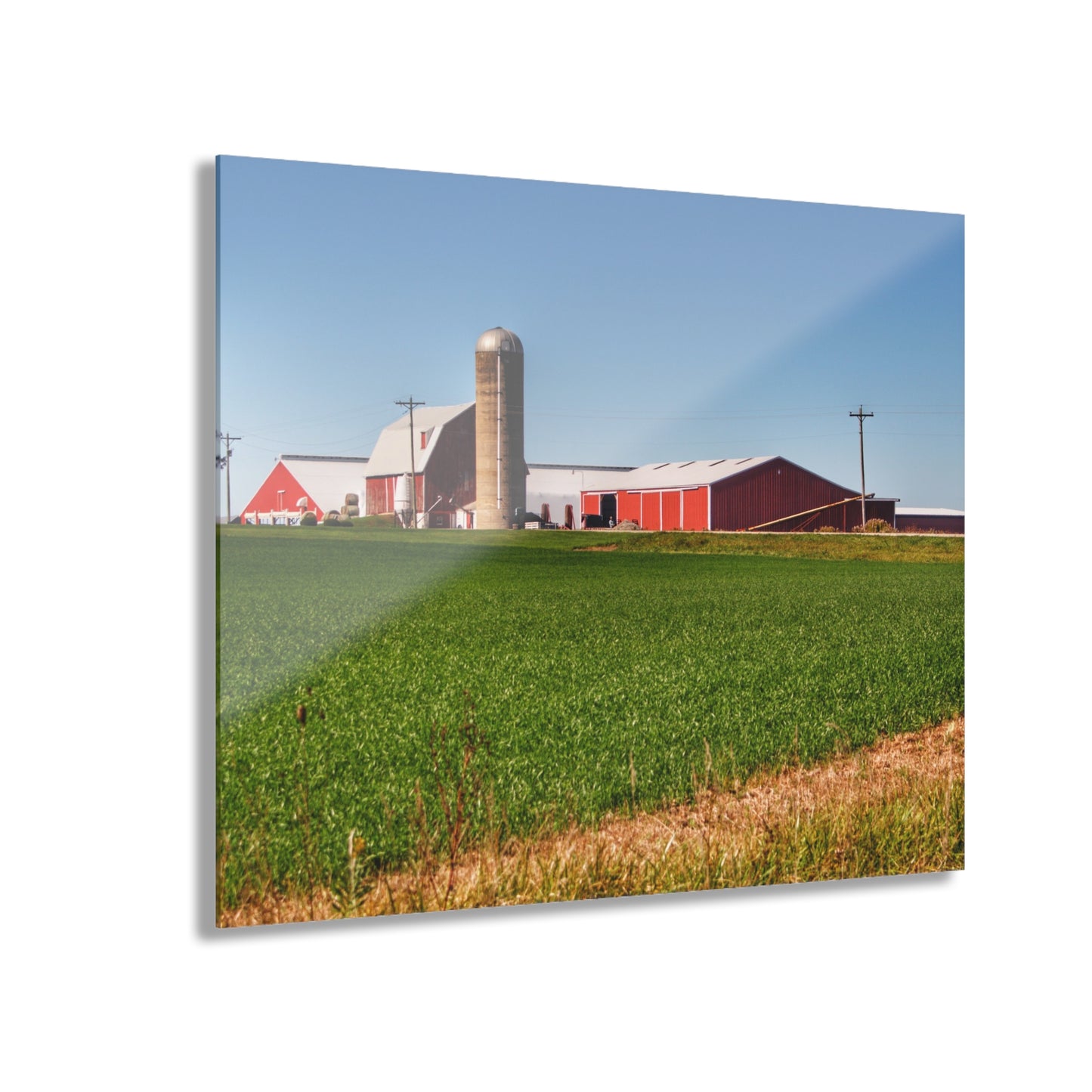 U R There Photography Pattison Road Farm Across the Field I Rustic Farmhouse Acrylic Wall Print