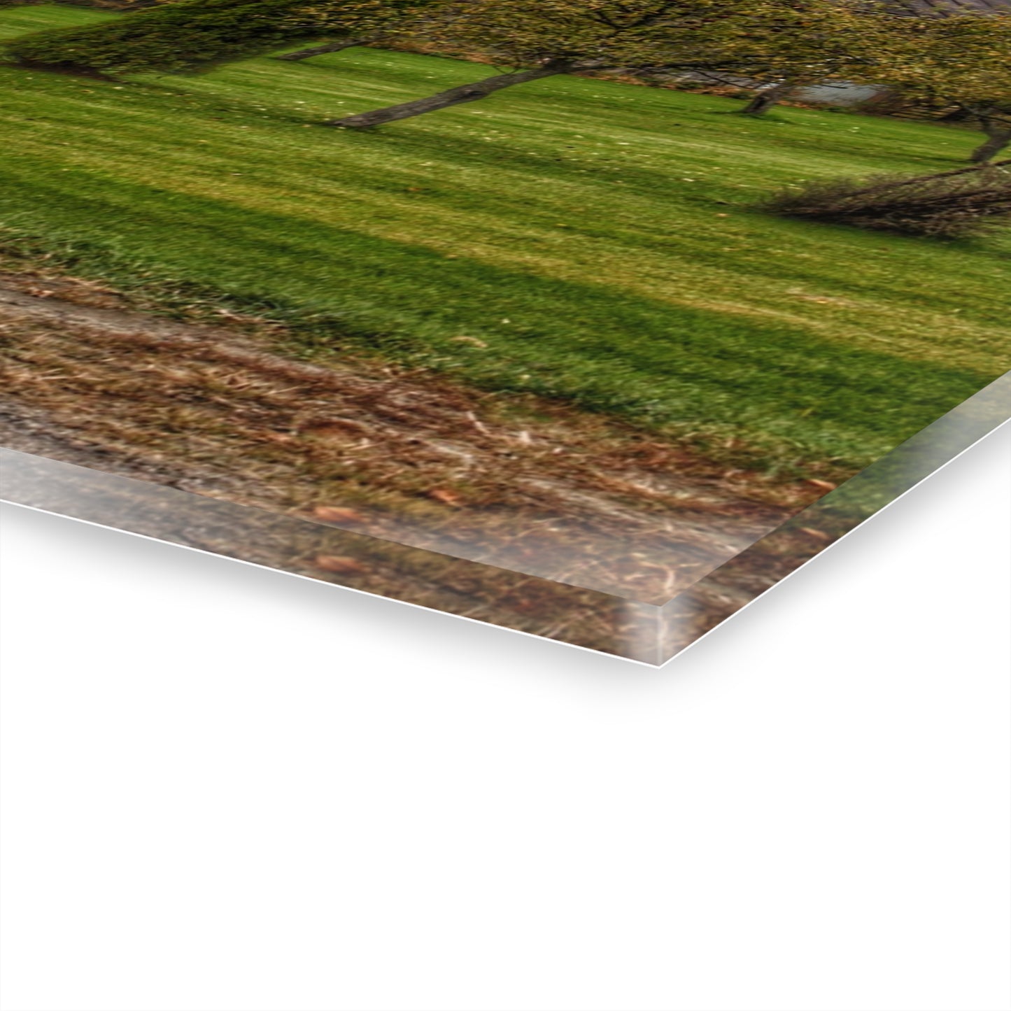 U R There Photography Goodrich Grey Rustic Farmhouse Acrylic Wall Print