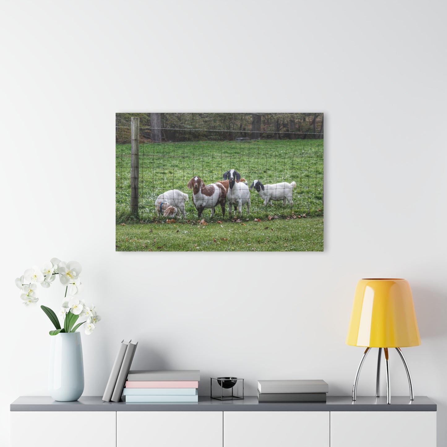 Barn Boutique Modern Farmhouse Acrylic Wall Print| Goats of Ortonville II